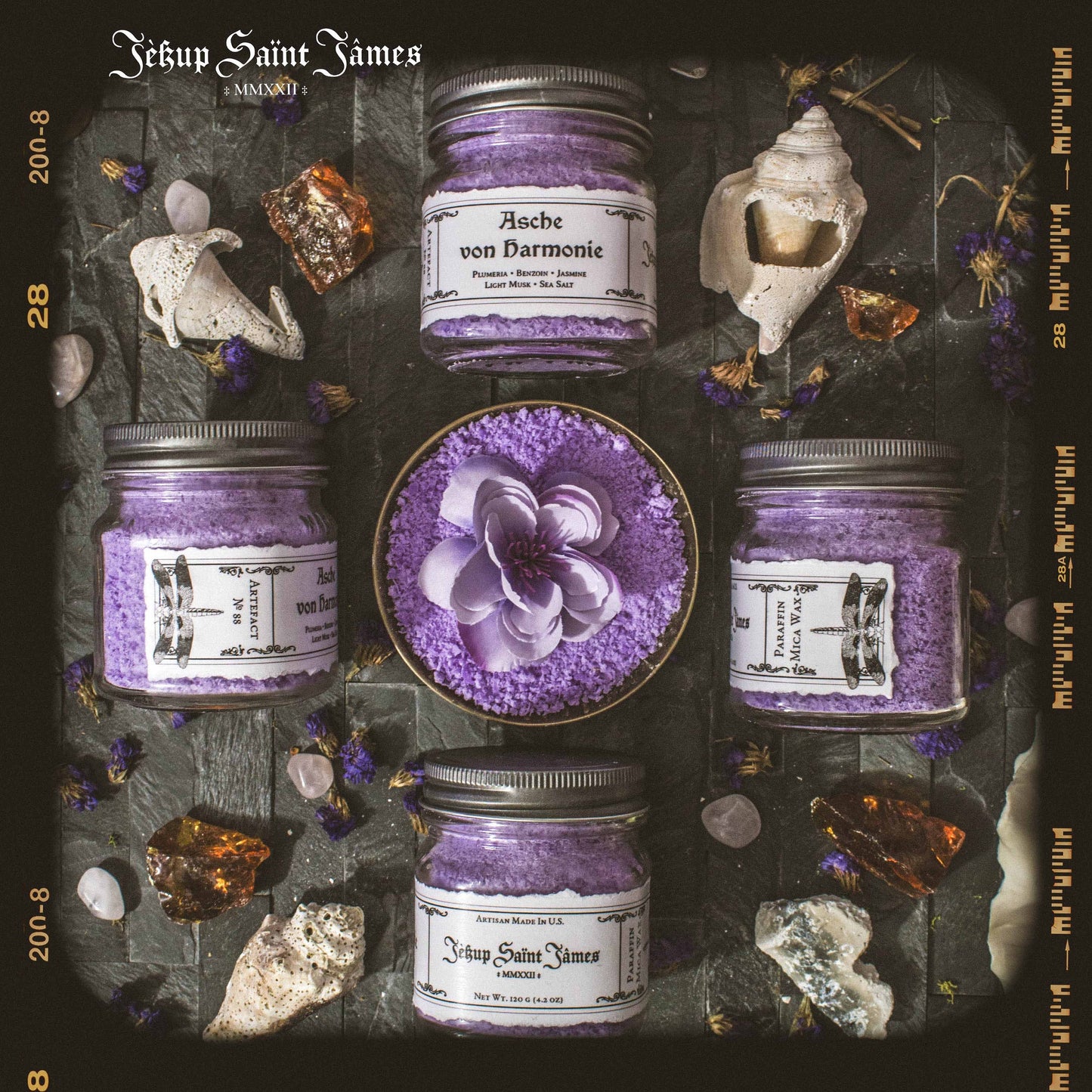 Powdered Wax Melts "Asche von Harmonie": Plumeria, Ylang Ylang, Sea Salt, Light Musk {120g} Handcrafted With Mica