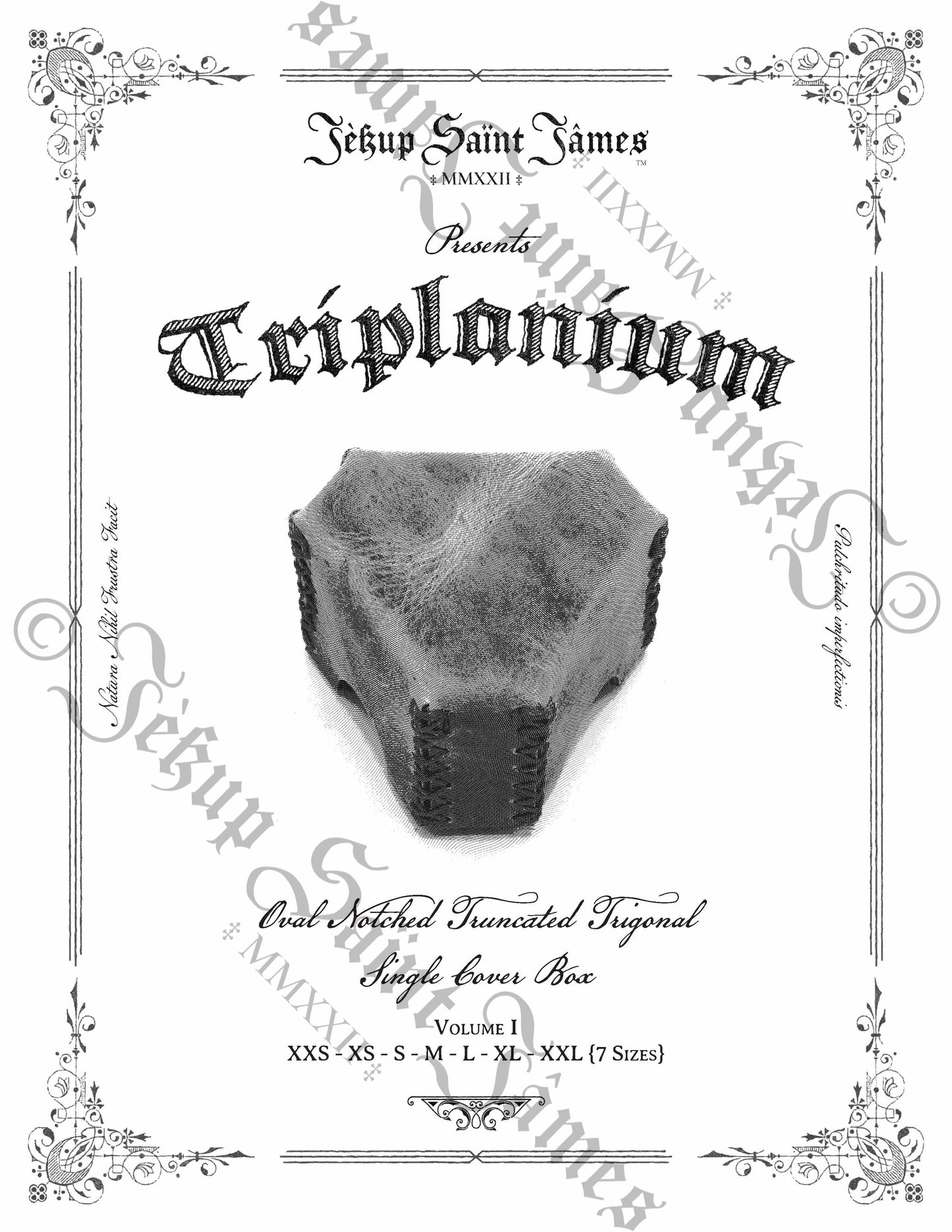 Triplanium: Truncated Triangular Leather Box Sewing Digital Pattern {7 Sizes}