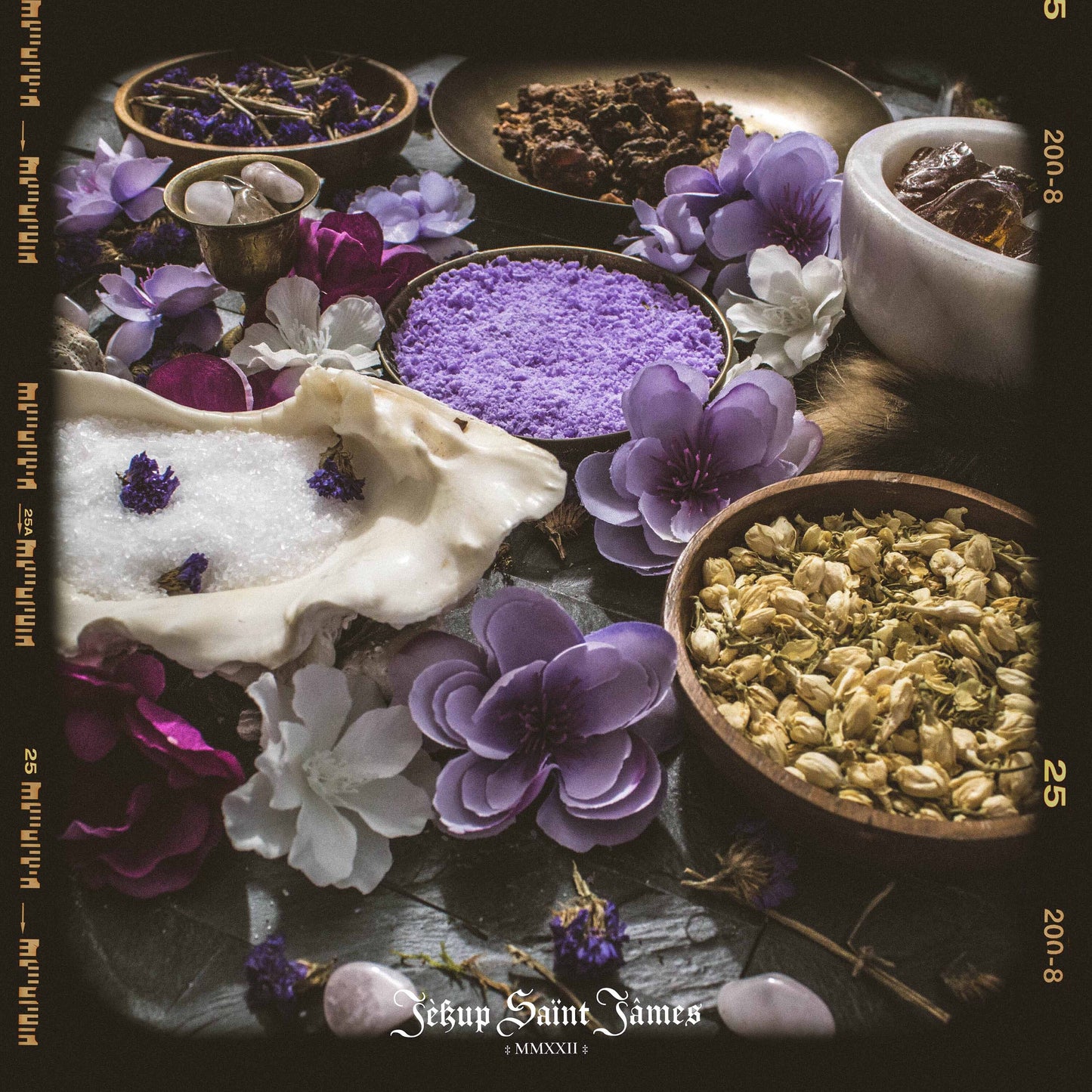 Powdered Wax Melts "Asche von Harmonie": Plumeria, Ylang Ylang, Sea Salt, Light Musk {120g} Handcrafted With Mica